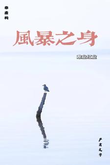 风暴之门免费观看