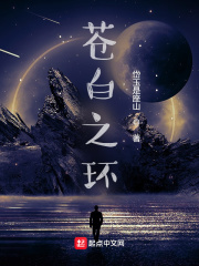 苍白之石在哪里获取
